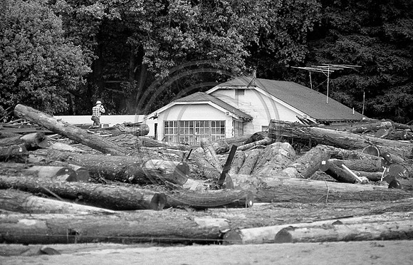 House Buried by logs