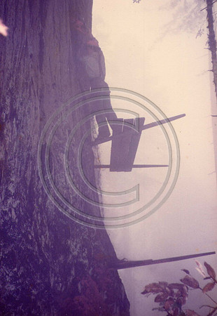 z1970sJoe-Todd9