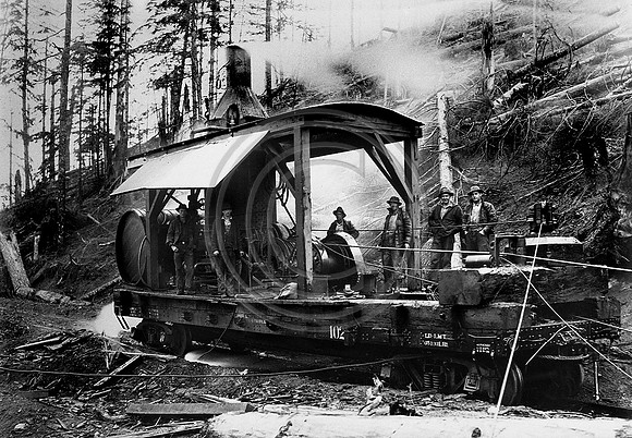 Donkey on a Rail car