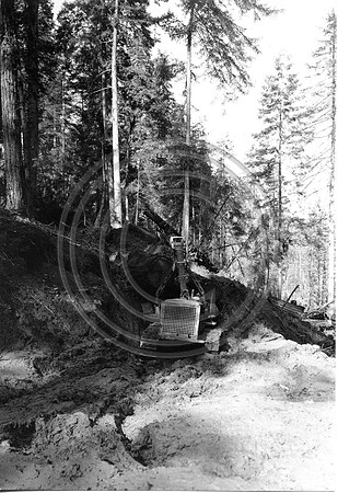 MonumentCrkCatLogging1935HistPhoto