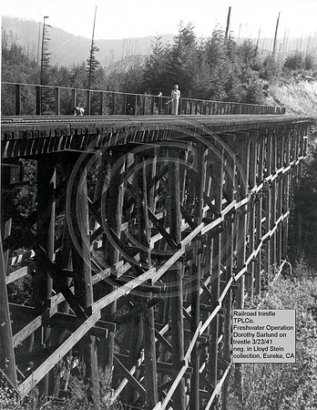 FW 26