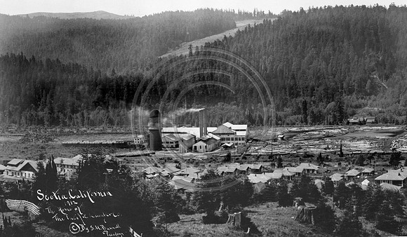 1912 view of the Pacific Lumber Compant