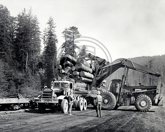 Loading Logs 1950's
