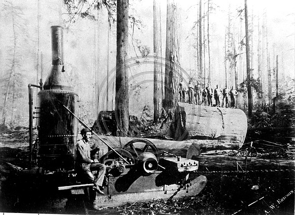 Vance Redwood Company