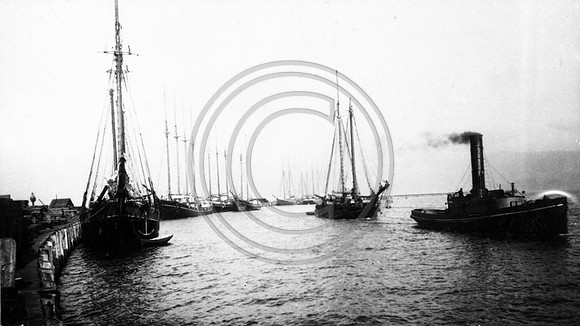 Ships Along Arcata Wharf in Humboldt Bay