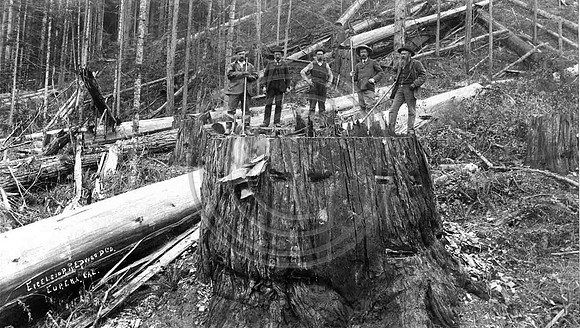 5 men on a stump