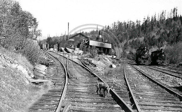 March 23rd 1941 Eddyville Camp Freshwater Operations lt to rt Locomotives #34 and #27