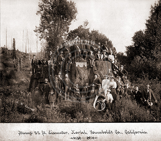 Early pioneers posing on a 22ft diameter Redwood stump
