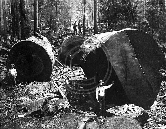 Vance Redwood Lumber Company