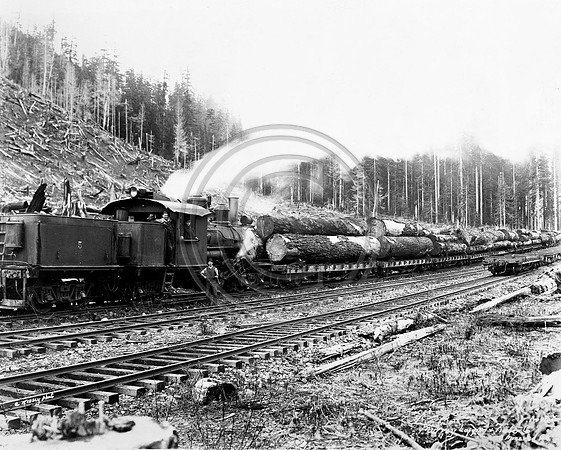 Load of Douglas Fir trees
