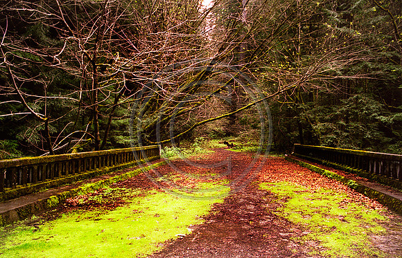Jordan Creek bridge