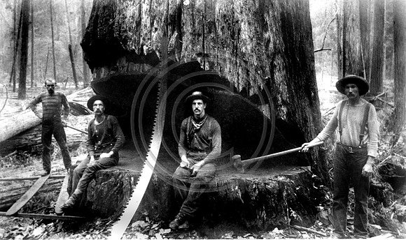 Loggers posing by their Misery Whip