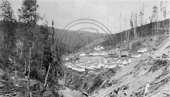 Camp 4 hillside view Korbel, California circa 1928