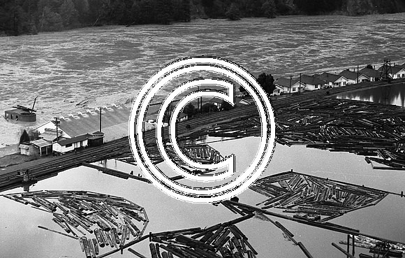 1964 Flood #514 Pacific Lumber Company