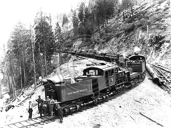A Shay locomotive stops for a photo oppertunity