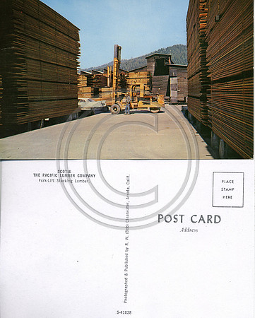 Scotia Lumber Yard 1950s