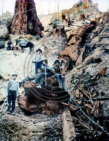 Logging skid row