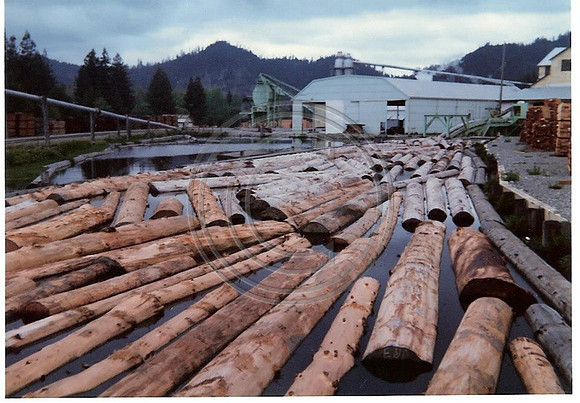 Plywood Plant 1985