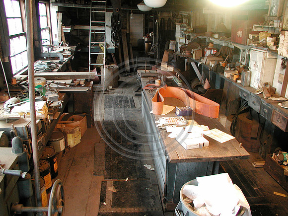 z-BeltShop15