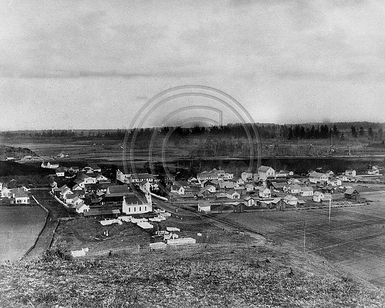 Ferndale from the hill in the 1800s