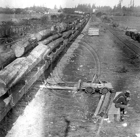 Train Load of logs on its way to Scotia from Freshwater