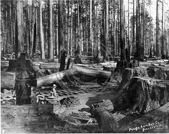 Early Logging