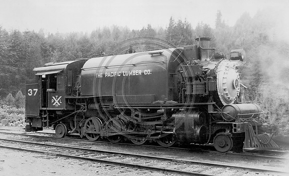 Pacific Lumber locomotive #37