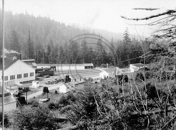 CarsonCamp Late 20s-boyscout2a