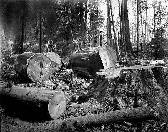 Vance Redwood Company
