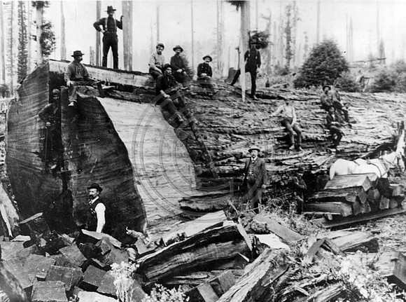 LOGGING CREW 001