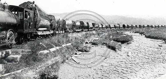 Train one log load