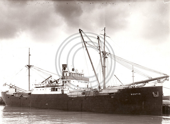 Steamer Scotia