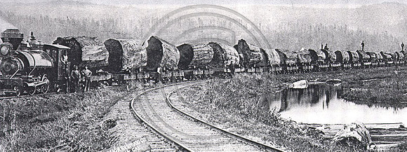 Train NGeo rail1