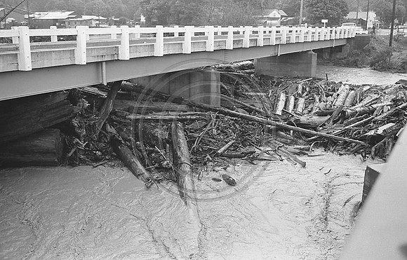 Fortuna log jam