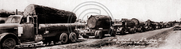 Big Truck Load of Redwood trees on Old Redwood Highway