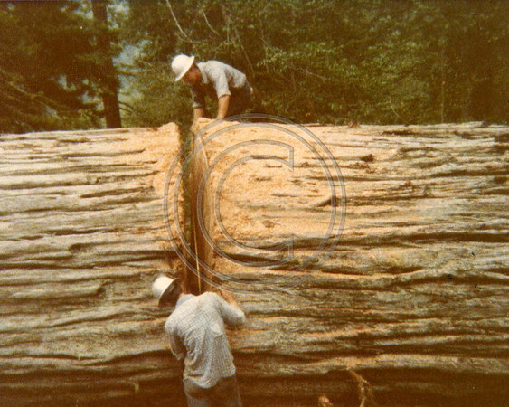 z-1970s1