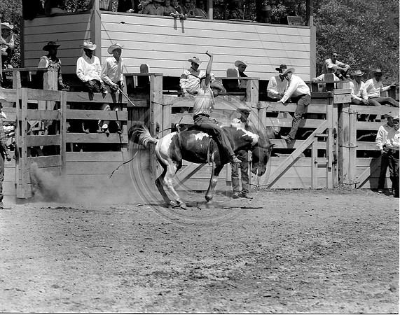 Fortuna Rodeo The Old Photo Guy | Fortuna California | Fortuna Rodeo Fortuna, California
