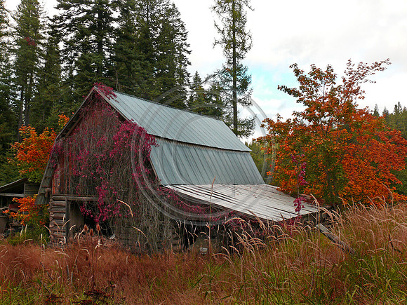 Old Barn in the Fall