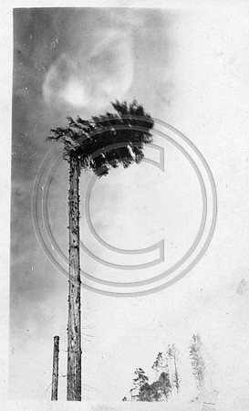 CarsonCrk1923ToppingHistPhoto