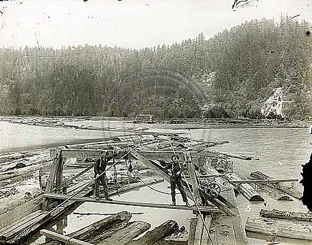 Log Pond 0411