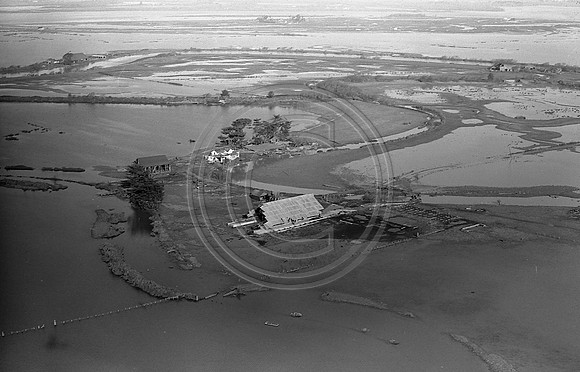 Ferndale Bottoms