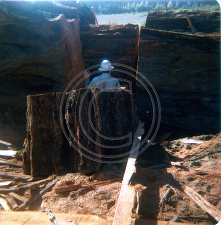Shively Redwood log on river bar circa October 1975