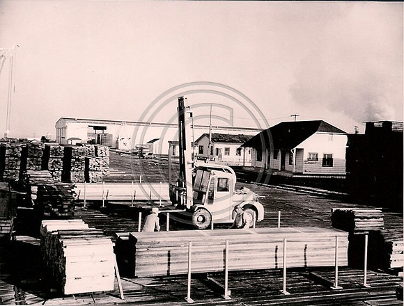 TPLC 1959 Fields Landing