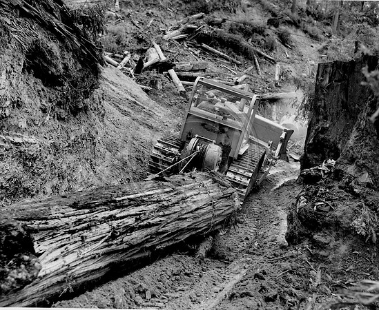 D-9 cat skidding log