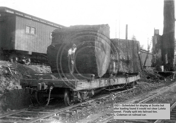FW 101