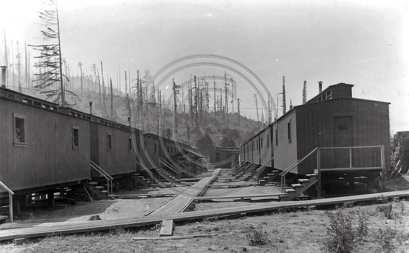 Freshwater Camp 1919