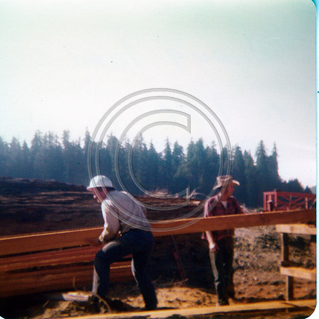 Shively Redwood log being milled on river bar Shively, California circa October 1975. Bill Nichols & Bob Dunham.